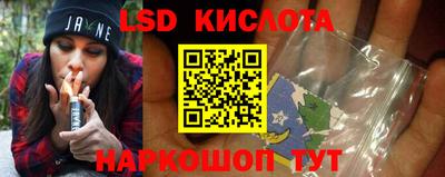СК Вышний Волочёк
