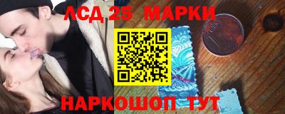 СК Вышний Волочёк