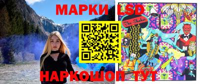 СК Вышний Волочёк