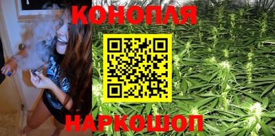СК Вышний Волочёк