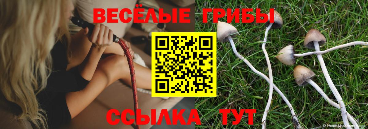Галлюциногенные грибы GOLDEN TEACHER Волгодонск